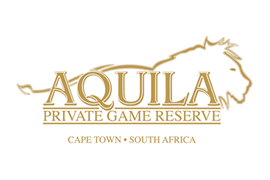 Aquila Private Game Reserve Corporate Cupcakes